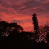 leolezzi66