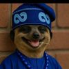 vdjboo5