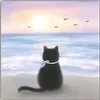 testfed