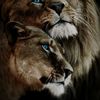 maya_shoter