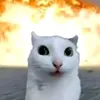 jeanbobodu13