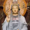 tuan_dep_trai2005