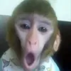ksycha_negr