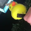 pevit_chuchewaa