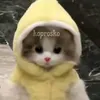 koprosko