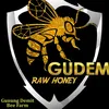 madu_gudem_bee_farm