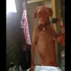 astrofvj