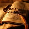 muhammedmuhsin777