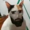 pizz4_salam1