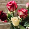 aisha_abdullah02