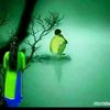 md.tuhin5291