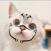 moxo_oxo