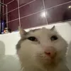 tubetrash8