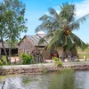 phongthangio1984