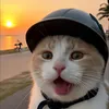 chung_cocain