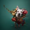 jillgphoto