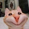 alzyy30