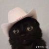 .gusu_