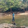 papamuda110295