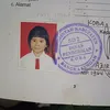 vazexboxelbhoxil