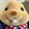 bphlinh