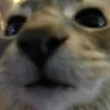 squesyyy