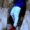 gato_flow