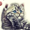 tamara_toma4