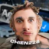 CHIEN228