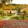 autumn.8221