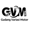 Gv Motor
