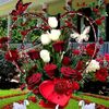 mdriyaz.ahamed