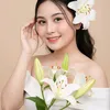 loanthuy2k2