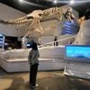 _jk_0119