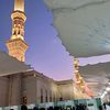 fatimah13339983