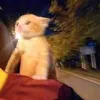 huahuahuahuahuahuahuauha