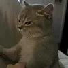 益