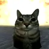 haizenburger_