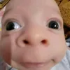 foccusnik_ebaniy