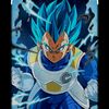 vegeta5.o