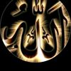 nalay87