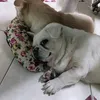 thanhhao944