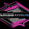sanibs7