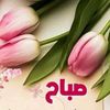 user2635384266972