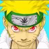nosurrender02