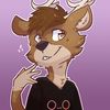 tailorvevo