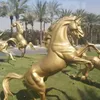 dominiquelecler78