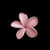 SAHAR 🇸🇦ྀིྀིྀིྀི