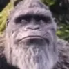 kadrianhowler