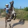 leonardopinheirod64